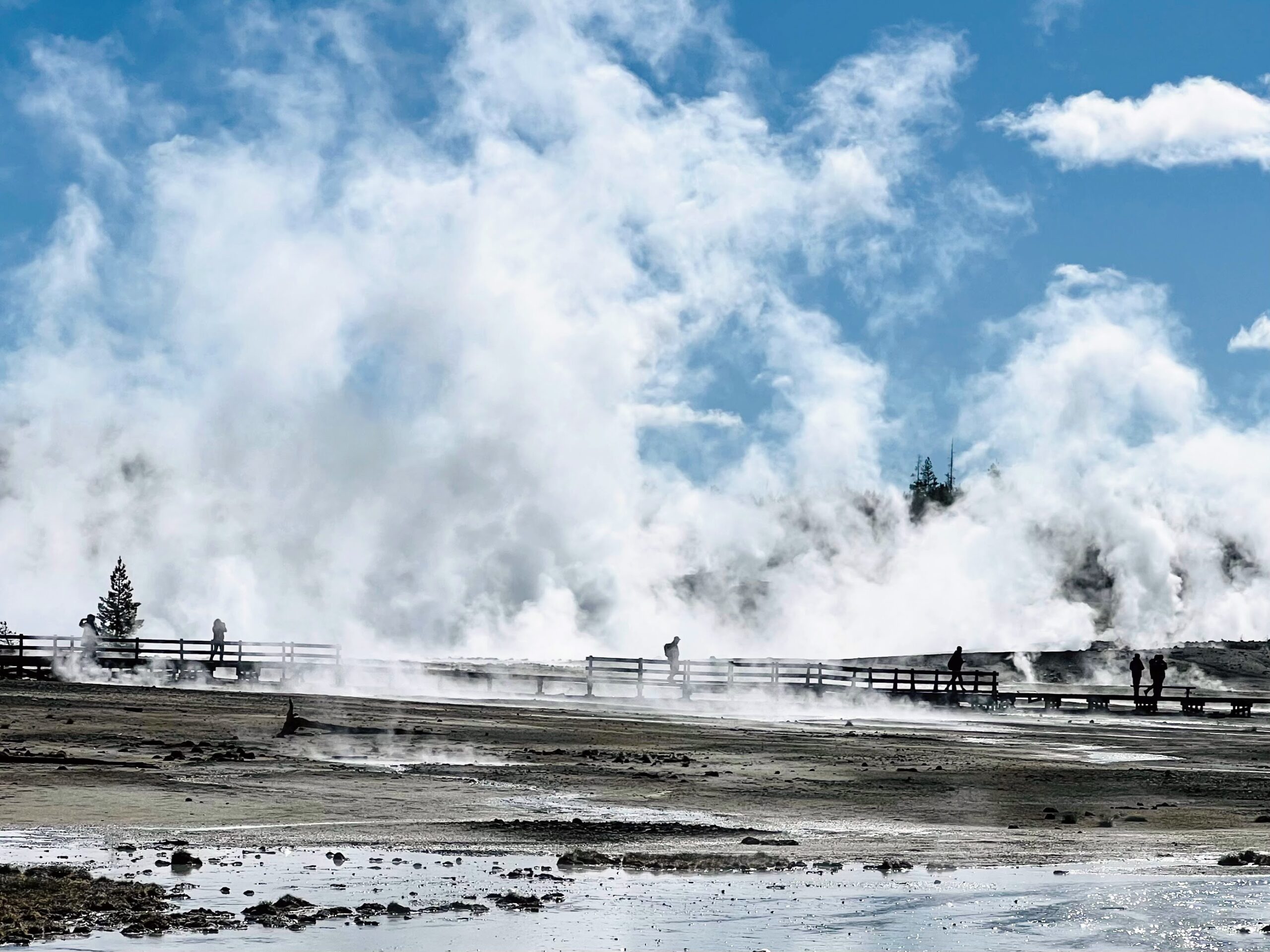 Norris Geyser Basin Yellowstone