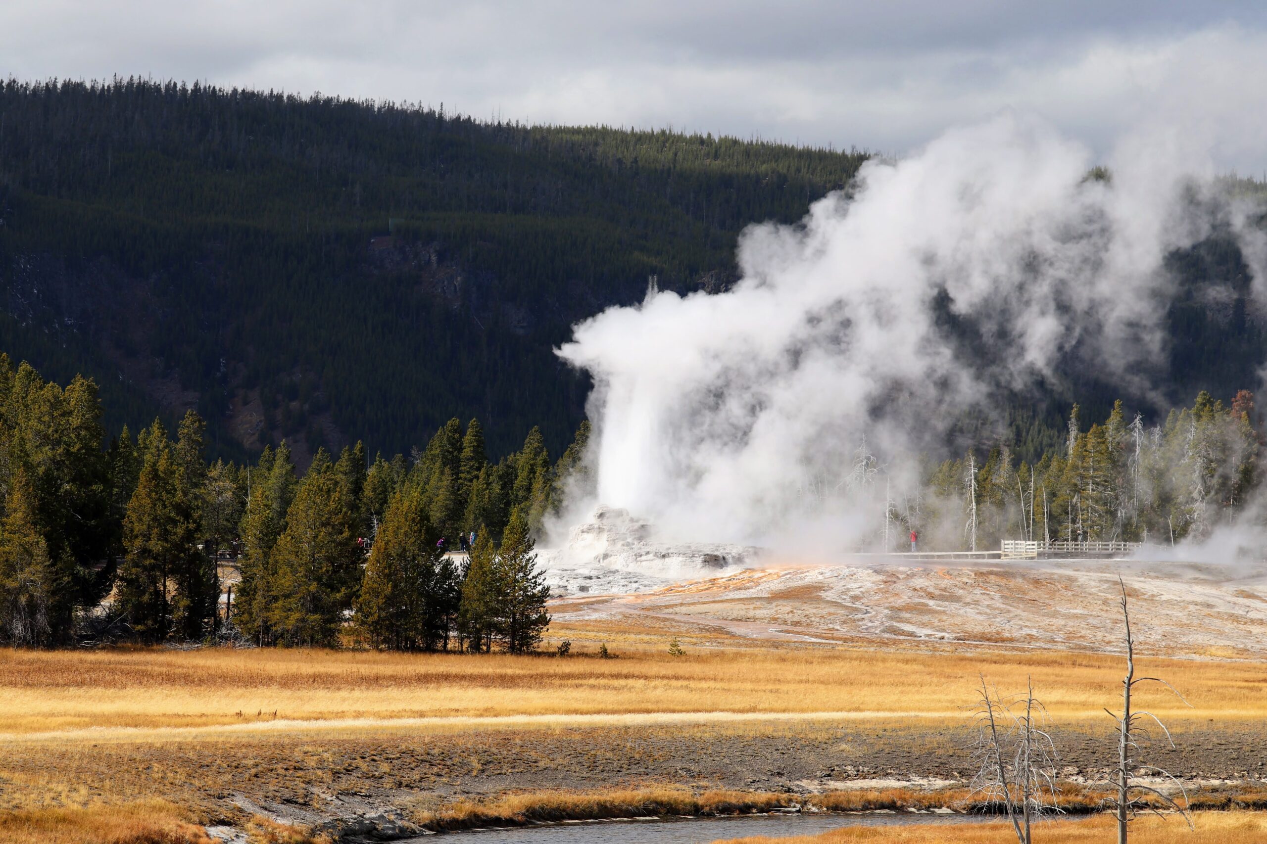 Yellowstone Geyser Tour Castle Geyser in Yellowstone